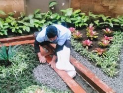 Jasa Tukang Taman untuk Pembuatan Taman Bali yang Eksotis: Bawa Keindahan Pulau Dewata ke Rumah Anda